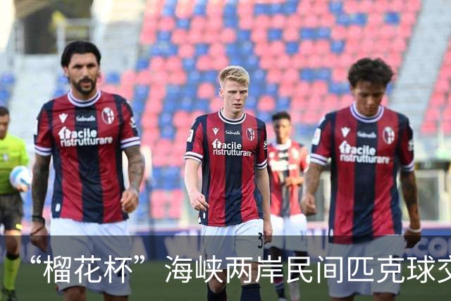 “榴花杯”海峡两岸民间匹克球交流赛在云南省玉溪开赛